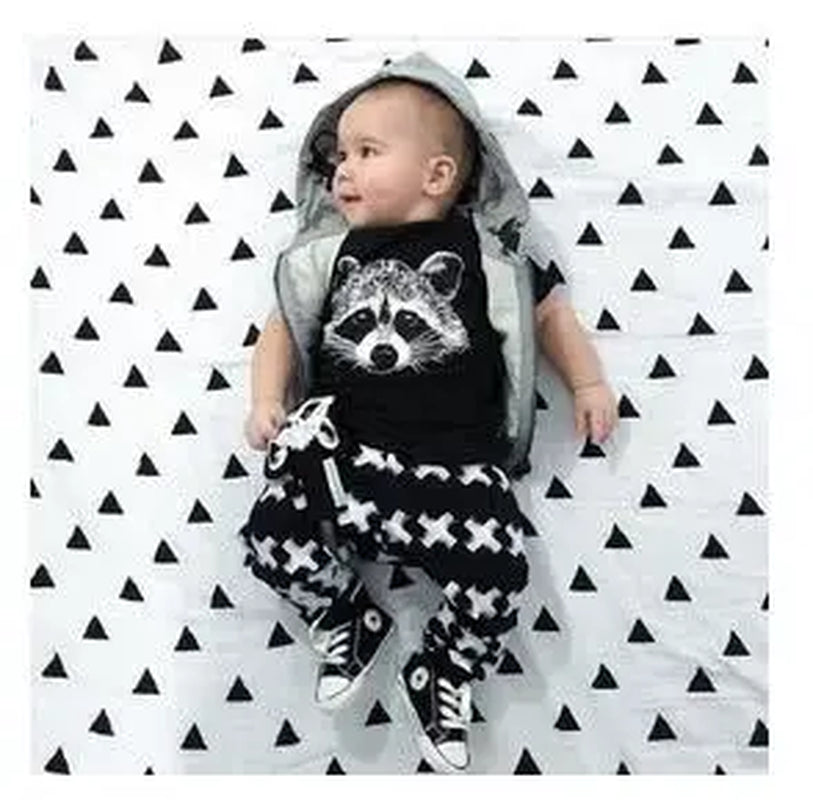 New Summer Baby Boy Clothes Kids Clothes Sets T-Shirt+Pants Suit Clothing Set Cartoon Printed Clothes Newborn Sport Suits